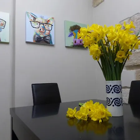 Apartamento Abside De San Juan II Estella Buitenkant foto